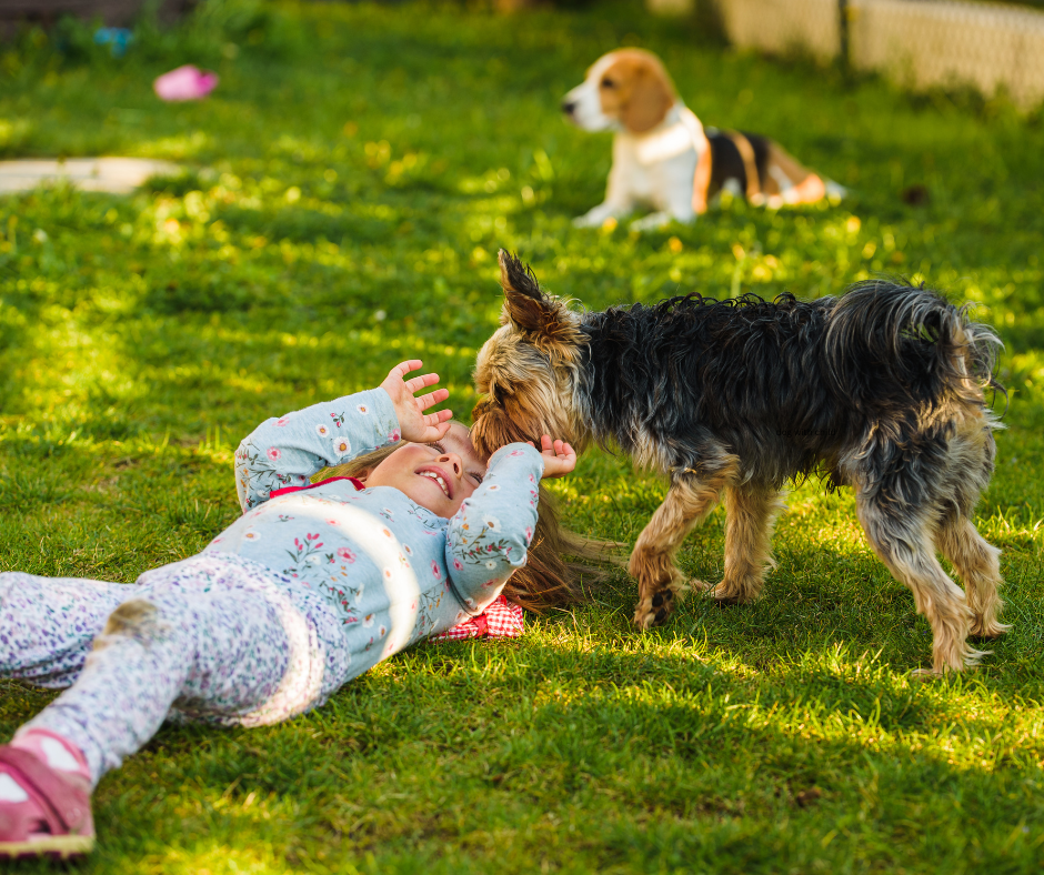 The Importance of a Clean Yard: Why Dog Waste Cleanup Matters
